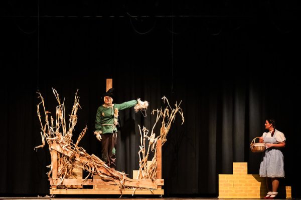 55083206511_a21bfc847d_c