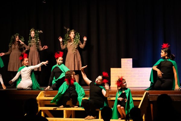 55083496939_d4128879c5_c